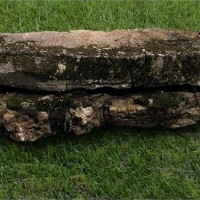 Weathered_Limestone_Ledge